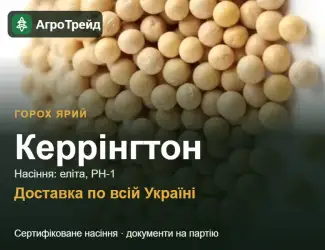 Зображення для оголошення Посівний ярий горох Керрінгтон