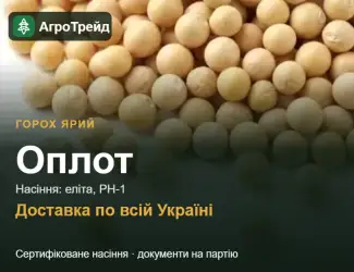 Зображення для оголошення Оплот — ярий горох, насіння