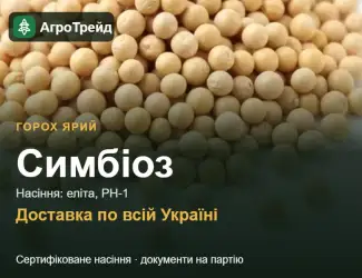 Зображення для оголошення Насіння: горох ярий Симбіоз