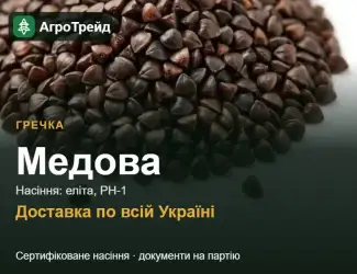 Зображення для оголошення Гречка Медова для посіву