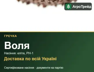 Зображення для оголошення Посівна гречка Воля