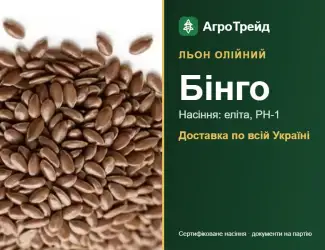Зображення для оголошення Олійний льон Бінго — насіння
