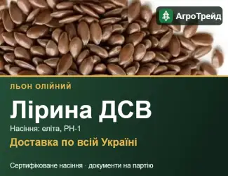 Зображення для оголошення Насіння: льон олійний Лірина ДСВ