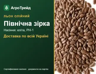 Зображення для оголошення Олійний льон Північна зірка — насіння
