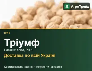 Зображення для оголошення Нут Тріумф — насіння
