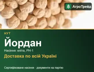Зображення для оголошення Йордан — нут, насіння