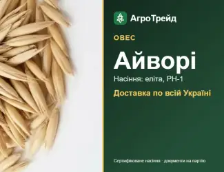 Зображення для оголошення Овес Айворі — насіння