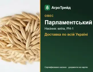 Зображення для оголошення Насіння вівса Парламентський