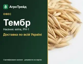 Зображення для оголошення Посівний овес Тембр