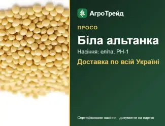 Зображення для оголошення Біла альтанка — просо, насіння, від 34 400 грн/т
