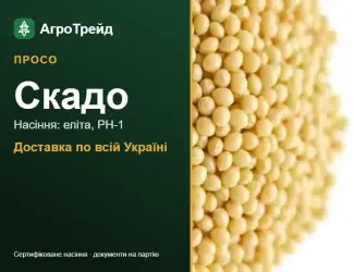 Зображення для оголошення Просо Скадо для посіву