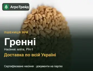 Зображення для оголошення Гренні — яра пшениця, насіння