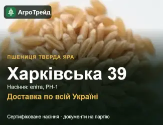 Зображення для оголошення Пшениця тверда яра Харківська 39 — насіння