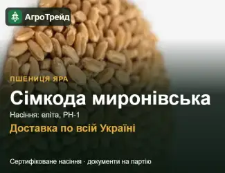 Зображення для оголошення Купити яру пшеницю Сімкода миронівська на посів