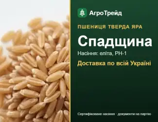 Зображення для оголошення Пшениця тверда яра Спадщина — насіння