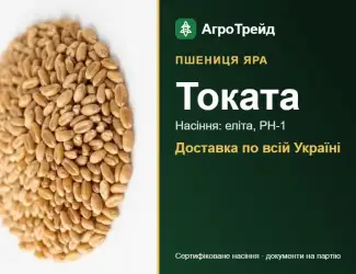 Зображення для оголошення Посівна яра пшениця Токата