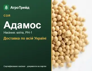 Зображення для оголошення Соя Адамос — насіння