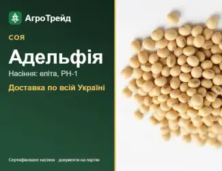 Зображення для оголошення Насіння: соя Адельфія
