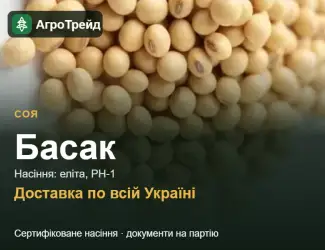 Зображення для оголошення Соя Басак — насіння
