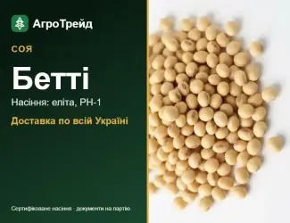 Зображення для оголошення Насіння сої Бетті