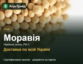 Зображення для оголошення Купити сою Моравія на посів