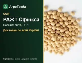 Зображення для оголошення Соя РАЖТ Сфінкса — насіння