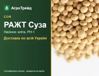 Зображення для оголошення Соя РАЖТ Суза для посіву