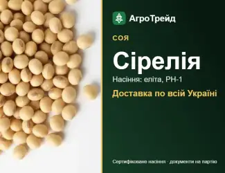 Зображення для оголошення Насіння сої Сірелія