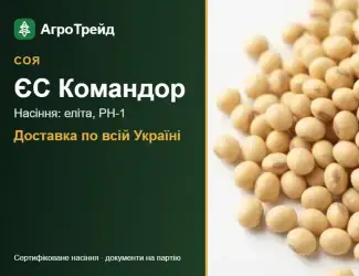 Зображення для оголошення Соя ЄС Командор — насіння