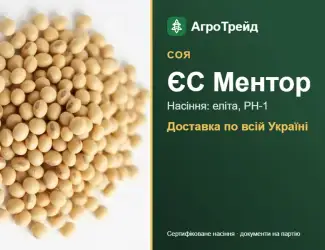 Зображення для оголошення Соя ЄС Ментор — насіння