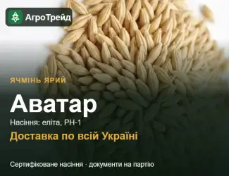 Зображення для оголошення Ячмінь ярий Аватар — насіння