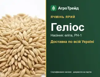 Зображення для оголошення Посівний ярий ячмінь Геліос