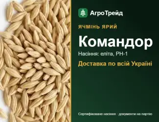 Зображення для оголошення Купити ярий ячмінь Командор на посів