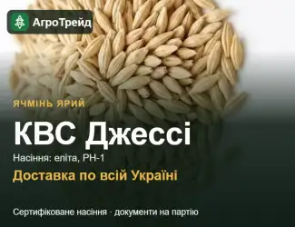 Зображення для оголошення Насіння ярого ячменю КВС Джессі