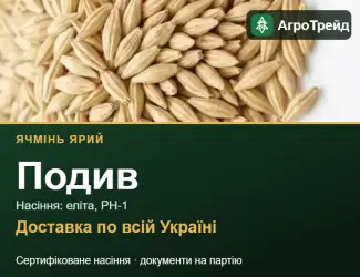 Зображення для оголошення Купити ярий ячмінь Подив на посів
