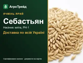 Зображення для оголошення Себастьян — ярий ячмінь, насіння, від 16 700 грн/т