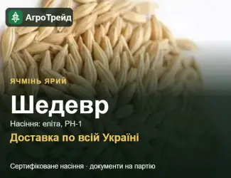 Зображення для оголошення Ячмінь ярий Шедевр — насіння