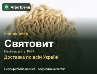 Зображення для оголошення Насіння ярого ячменю Святовит