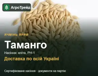 Зображення для оголошення Таманго — ярий ячмінь, насіння
