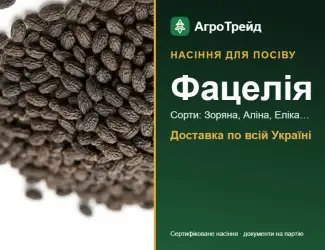 Зображення для оголошення Продам насіння фацелії