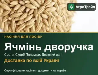 Зображення для оголошення Продам насіння ячменю дворучки