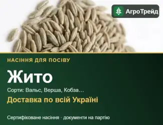 Зображення для оголошення Продам насіння жита