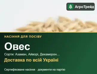 Зображення для оголошення Продам насіння вівса