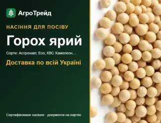 Зображення для оголошення Продам насіння ярого гороху