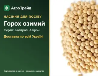 Зображення для оголошення Продам насіння озимого гороху