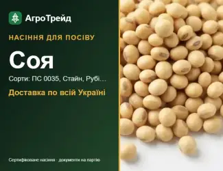 Зображення для оголошення Продам насіння сої