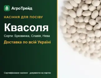 Зображення для оголошення Продам насіння квасолі