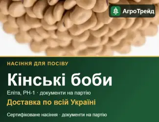 Зображення для оголошення Продам насіння кінських бобів