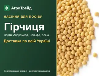 Зображення для оголошення Продам насіння гірчиці