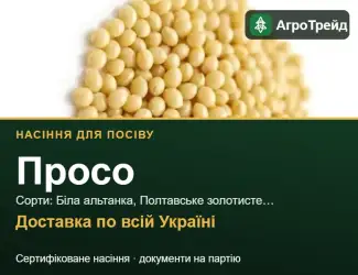 Зображення для оголошення Продам насіння проса
